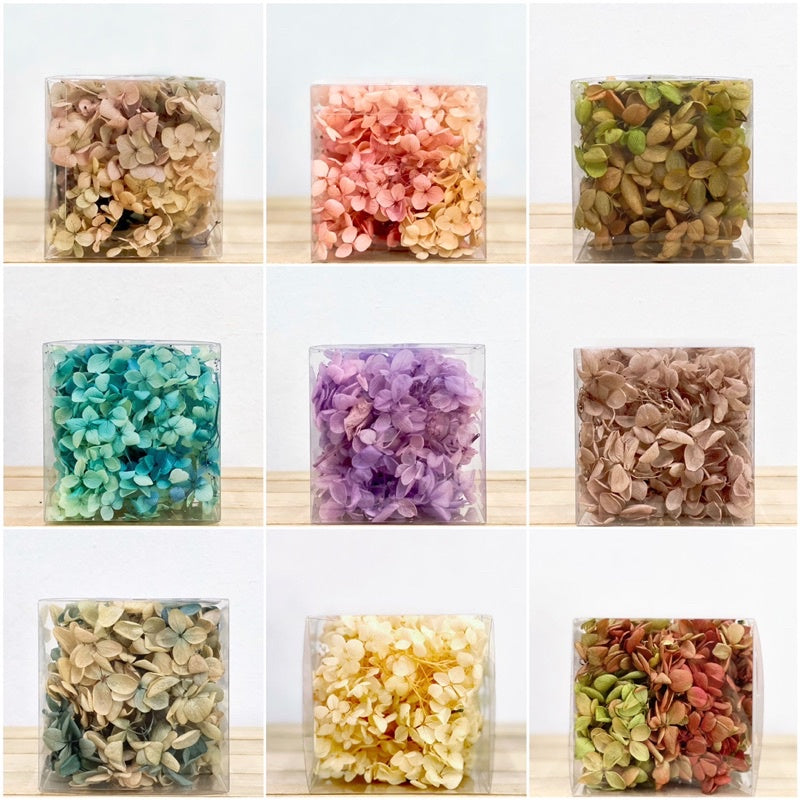 🇸🇬[SG Stock]Hydrangea Preserved Flowers Grade A Preserved Hydrangeas Singapore Local Home Decoration/DIY/Wedding