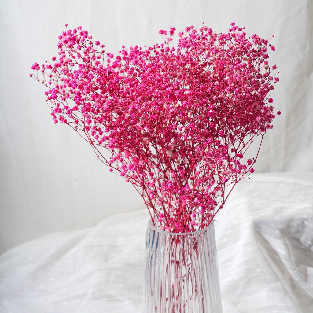 🇸🇬[SG Stock]Singapore Local Wholesaler Preserved Flowers Dried Flowers Preserved Babybreath Home Decoration/DIY/Wedding