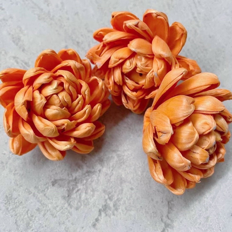 🇸🇬[SG Stock]Preserved Flowers Dried Flowers Colored Sola Flowers Wood Flower Handmade Flower Chrysanthemum Lotus Peony