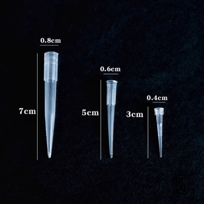 🇸🇬[SG Stock]New Arrival Preserved Flowers Stem Dried Flower Stem Floral Stalk 100gram Packing Floral Stem DIY Decor