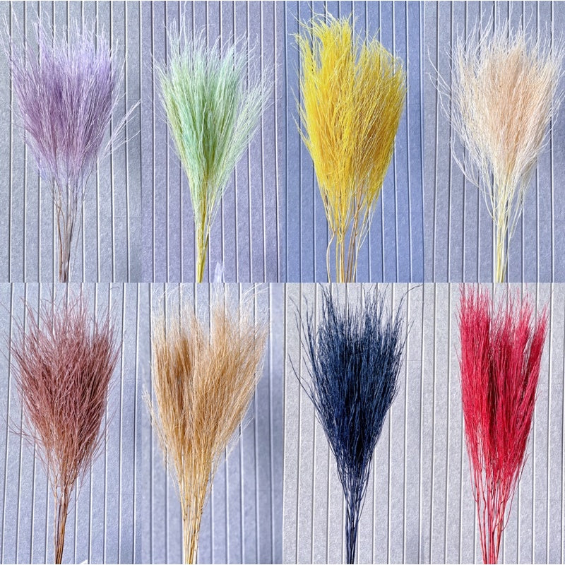 🇸🇬[SG Stock] Preserved Feather Grass For Christmas Home Decor/DIY/Wedding/Glass Cover Dome Dried Eternal Flowers