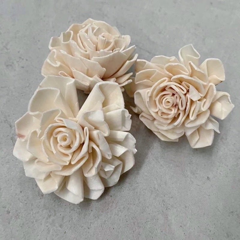 🇸🇬[SG Stock]Preserved Flowers Dried Flowers Colored Sola Flowers Wood Flower Handmade Flower Chrysanthemum Lotus Peony