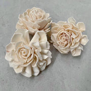 Preserved Flowers Colored Sola Flowers Wood Flower 2 | DreamGarden SG