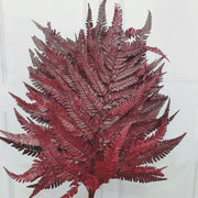 Preserved Leather Fern | DreamGarden SG