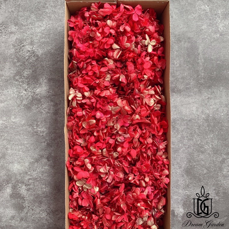 🇸🇬[SG Stock]Dream Garden Preserved Flowers Dried Flowers Grade B Preserved Hydrangea Singapore Local