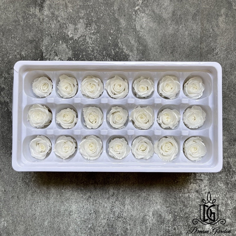 🇸🇬[SG Stock] Singapore Local Dream Garden Preserved Flowers Dried Flowers Pearl/Satin Preserved Roses Grade A 2-3cm