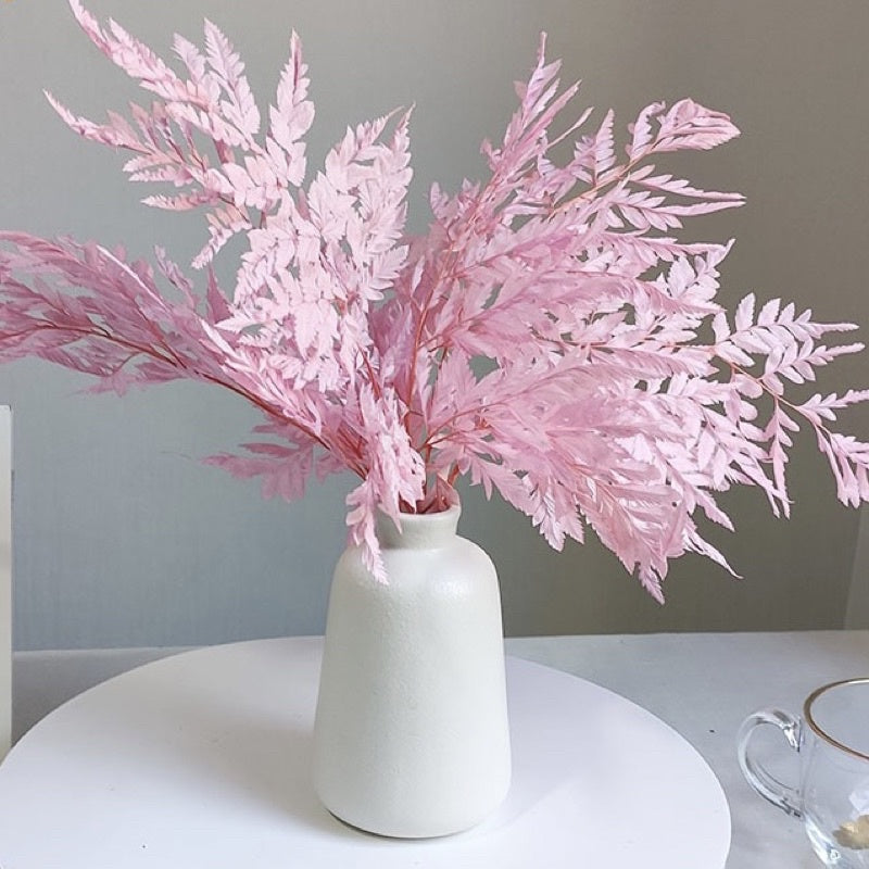 🇸🇬[SG Stock]Preserved Rainbow Fern Dried Flowers Preserved Singapore Local Wholesalers Home Decoration/DIY/Wedding