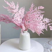 Preserved Rainbow Fern Dried Flowers Preserved | DreamGarden SG