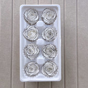 Grade A Rainbow Color Preserved Roses | DreamGarden SG