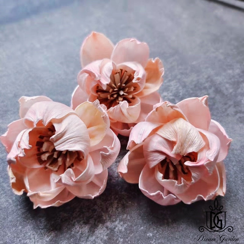 🇸🇬[SG Stock]SG Stock New Arrival Dried Flower Sola Flowers Wood Flower Handmade Flower Chrysanthemum Lotus Peony