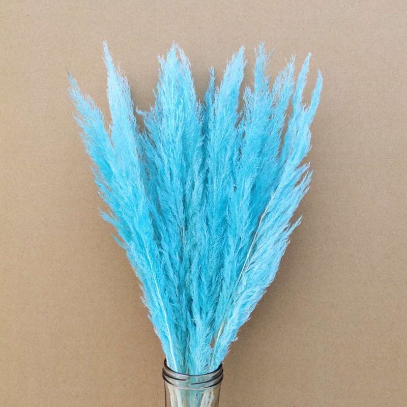 🇸🇬[SG Stock]Preserved Flowers Dried Flowers Preserved Mini Pampas Singapore Local Wholesaler Home Decoration/DIY/Wedding