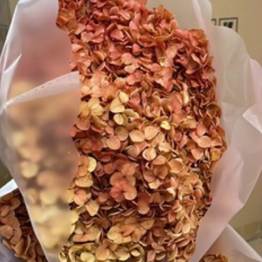 🇸🇬[SG Stock]Preserved Flowers Grade A Preserved Hydrangea Singapore Local Wholesalers Home Decoration/DIY/Wedding