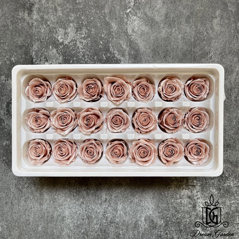 🇸🇬[SG Stock] Singapore Local Dream Garden Preserved Flowers Dried Flowers Pearl/Satin Preserved Roses Grade A 2-3cm