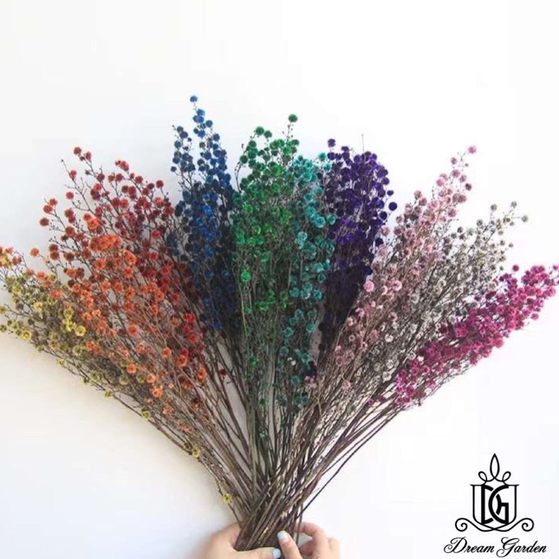 🇸🇬[SG Stock] Preserved Flower Branches For Home Decor/DIY/Wedding/Glass Cover Dome Dried Eternal Stirlingia Flowers