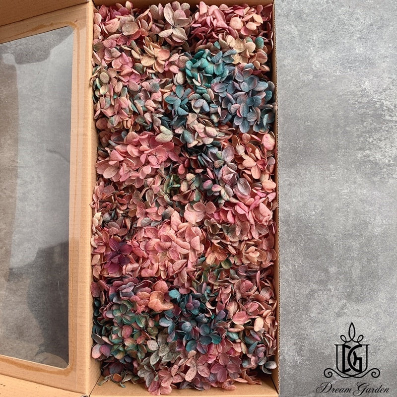 🇸🇬[SG Stock] Singapore Local Wholesale Dream Garden Grade A Preserved Hydrangeas Dried Flowers Preserved Flowers