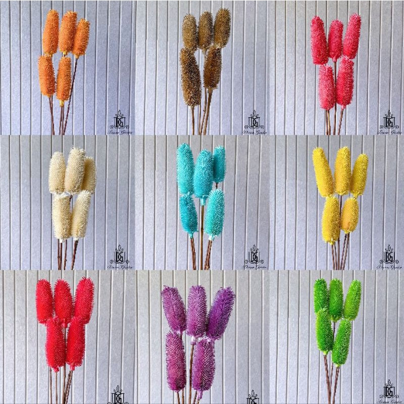 🇸🇬[SG Stock]Preserved Flowers Dried Flowers Dried Thistle Heads Singapore Local Wholesalers Home Decoration/DIY/Wedding