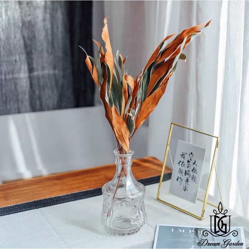 🇸🇬[SG Stock] SG Local Largest Wholesaler Dried Grevillea-Gold Back Leaves Suitable For Decoration/Wedding/DIY/Flora