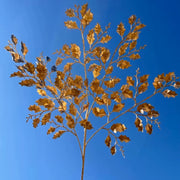 Preserved Flowers Gold Leaves Gold Plastic Flower | DreamGarden SG