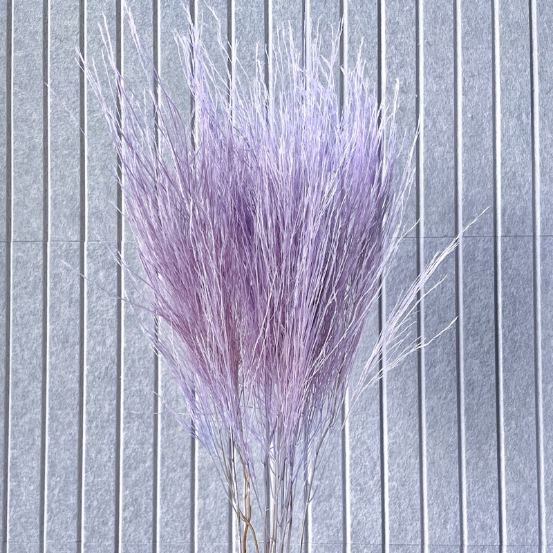 🇸🇬[SG Stock] Preserved Feather Grass For Christmas Home Decor/DIY/Wedding/Glass Cover Dome Dried Eternal Flowers