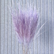 Preserved Feather Grass For Christmas Home | DreamGarden SG