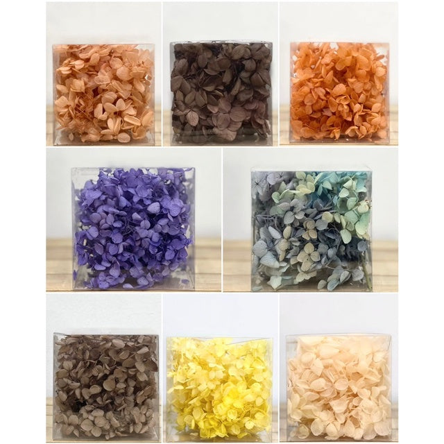 🇸🇬[SG Stock]Hydrangea Preserved Flowers Grade A Preserved Hydrangeas Singapore Local Home Decoration/DIY/Wedding