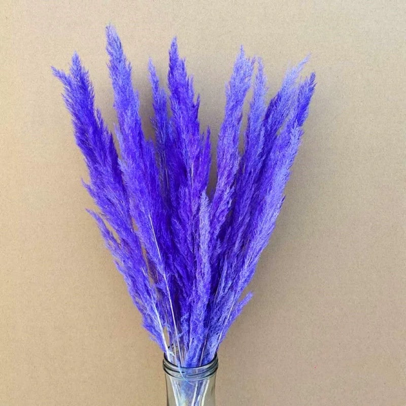 🇸🇬[SG Stock]Preserved Flowers Dried Flowers Preserved Mini Pampas Singapore Local Wholesaler Home Decoration/DIY/Wedding