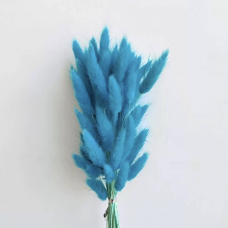 🇸🇬[SG Stock] Preserved Bunny Tail Grass For Home Decor/DIY/Wedding/Glass Cover Dome Dried Eternal Flowers