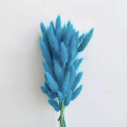 Preserved Bunny Tail Grass For Home | DreamGarden SG