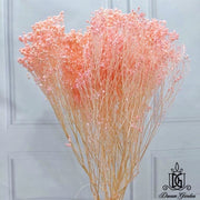 Dried Broom Bloom Flowers Preserved Flowers Babybreath | DreamGarden SG