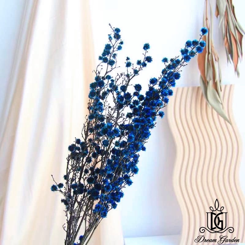🇸🇬[SG Stock] Preserved Flower Branches For Home Decor/DIY/Wedding/Glass Cover Dome Dried Eternal Stirlingia Flowers