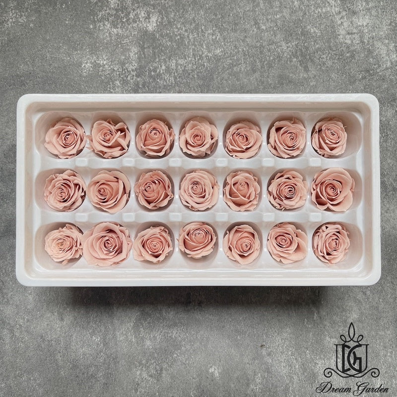 🇸🇬[SG Stock][Dream Garden]Grade B Preserved Roses 2cm-3cm Preserved Flowers Dried Flowers Home Decoration/DIY/Wedding