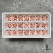 Grade B Preserved Roses 2cm-3cm | DreamGarden SG