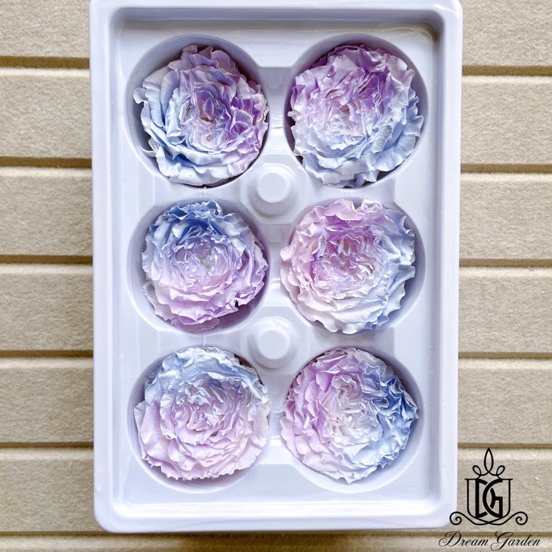 🇸🇬[SG Stock][Dream Garden]SG Stock New Arrival Preserved Flower Preserved Rose Preserved Peony Rose
