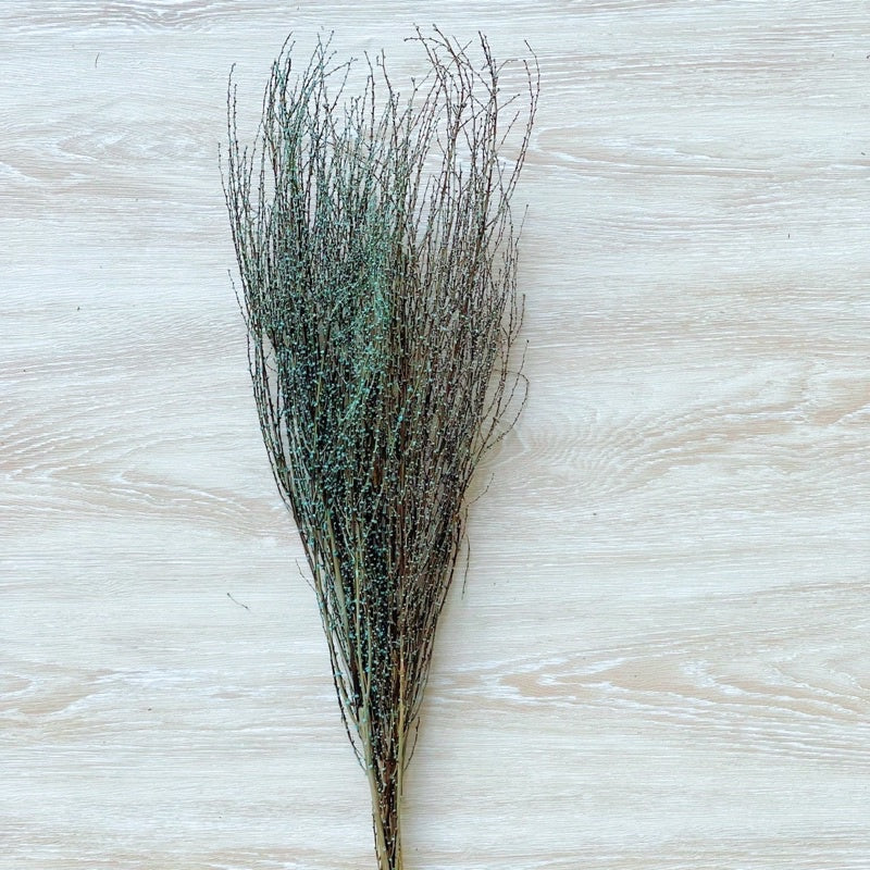 🇸🇬[SG Stock] Preserved Snow Willow Branches For Home Decor/DIY/Wedding/Glass Cover Dome Dried Eternal Flowers
