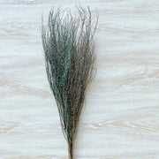 Preserved Snow Willow Branches For Home | DreamGarden SG