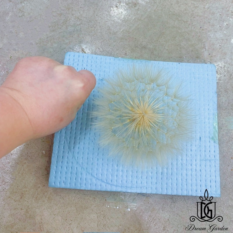 🇸🇬[SG Stock]Dream Garden Preserved Flowers Dried Flowers Preserved Giant Dandelion Singapore Local Wholesaler