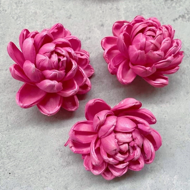 🇸🇬[SG Stock]Preserved Flowers Dried Flowers Colored Sola Flowers Wood Flower Handmade Flower Chrysanthemum Lotus Peony
