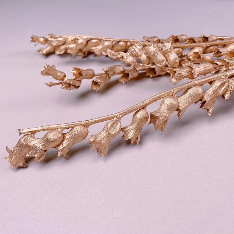 🇸🇬[SG Stock]Preserved Flowers Dried Flowers Gold Dried Wind Chime Singapore Local Wholesaler Home Decoration/DIY/Wedding