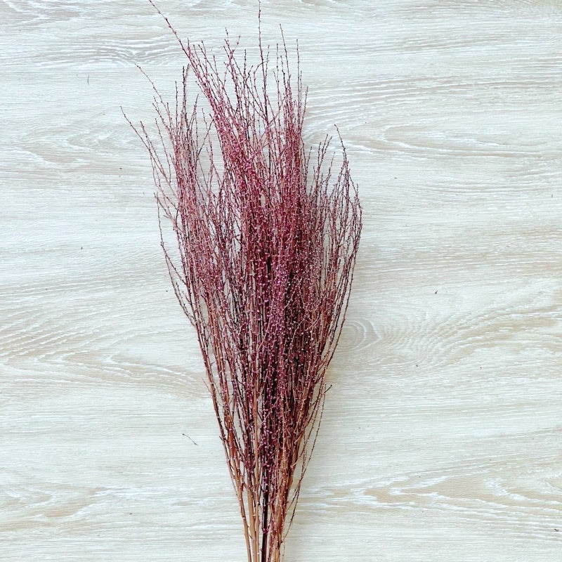 🇸🇬[SG Stock] Preserved Snow Willow Branches For Home Decor/DIY/Wedding/Glass Cover Dome Dried Eternal Flowers