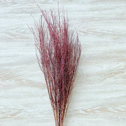 Preserved Snow Willow Branches For Home | DreamGarden SG