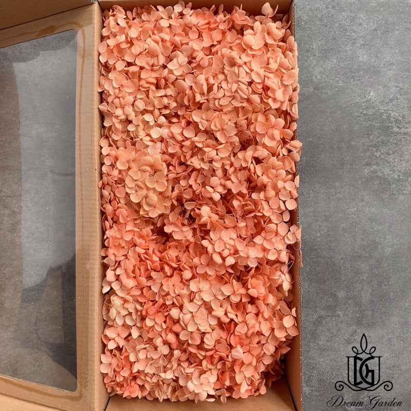🇸🇬[SG Stock] Singapore Local Wholesale Dream Garden Grade A Preserved Hydrangeas Dried Flowers Preserved Flowers
