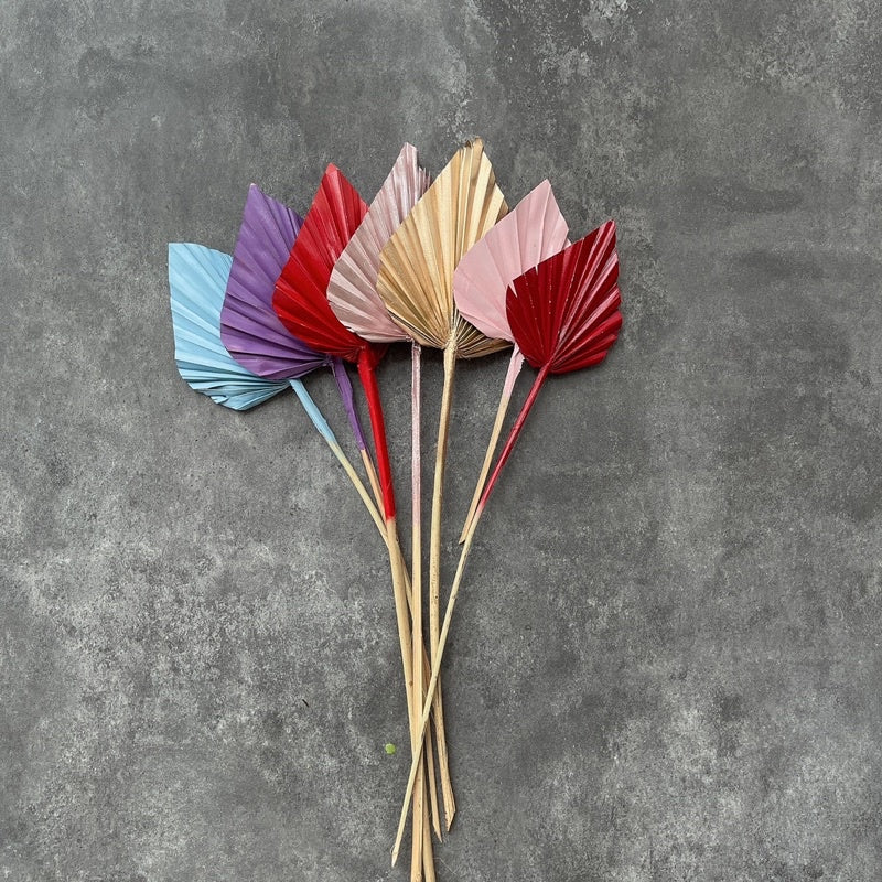 🇸🇬[SG Stock] SG Local Palm Fan Leaf Dried Palm Leaf Dried Flower Suitable For Art Wall Hanging Decoration | Wedding Arch