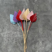 Palm Fan Leaf Dried Palm Leaf Dried Flower | DreamGarden SG
