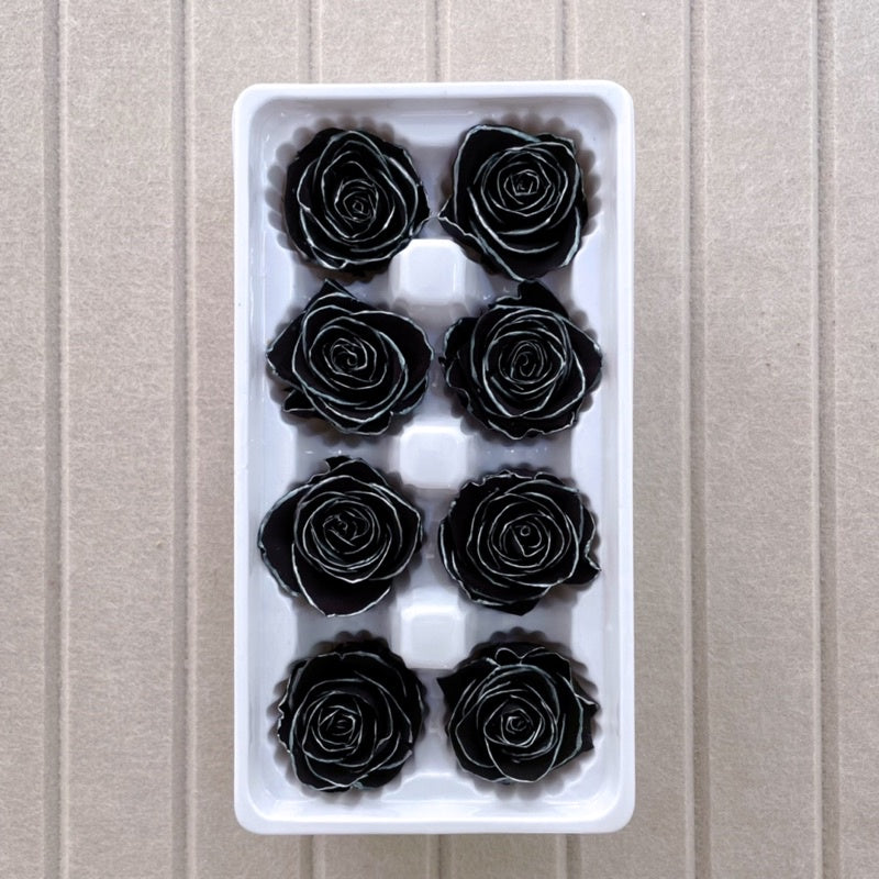 🇸🇬[SG Stock]🇸🇬SG Local Largest Wholesaler Grade A Rainbow Color Preserved Roses Suitable For Decoration/Wedding/DIY/Dome