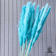 Dried Flower Preserved preserved flower Dried bleach | DreamGarden SG