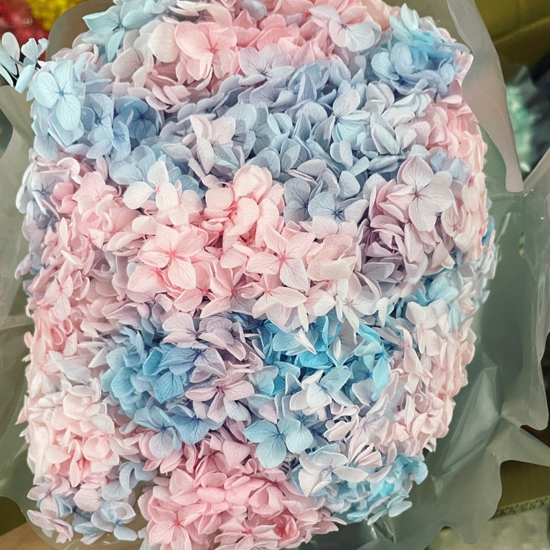 🇸🇬[SG Stock]Preserved Flowers Grade A Preserved Hydrangea Singapore Local Wholesalers Home Decoration/DIY/Wedding