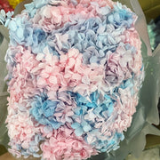 Preserved Flowers Grade A Preserved Hydrangea 2 | DreamGarden SG