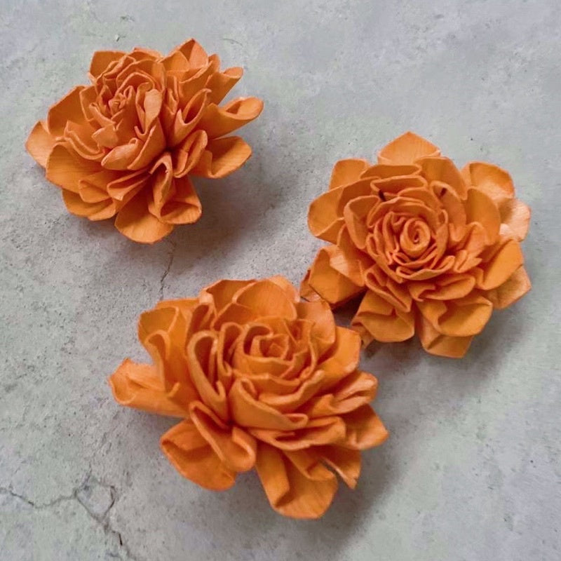 🇸🇬[SG Stock]Preserved Flowers Dried Flowers Colored Sola Flowers Wood Flower Handmade Flower Chrysanthemum Lotus Peony