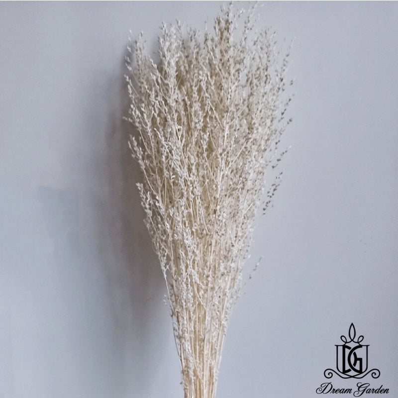 🇸🇬[SG Stock]SG Local Largest Wholesaler Dried White Grass Dried Flowers Suitable For Decoration/Wedding/DIY/Dome/Flora