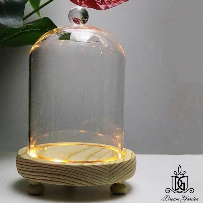 🇸🇬[SG Stock] [Dream Garden] Preserved Flower Dome Clear Glass Cloche Display Dome with LED Wooden Base High Quality